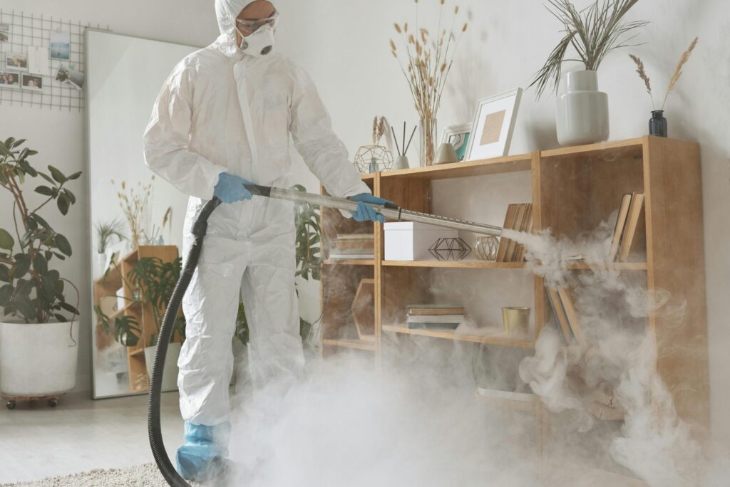 Professional Fogging for Pest Control