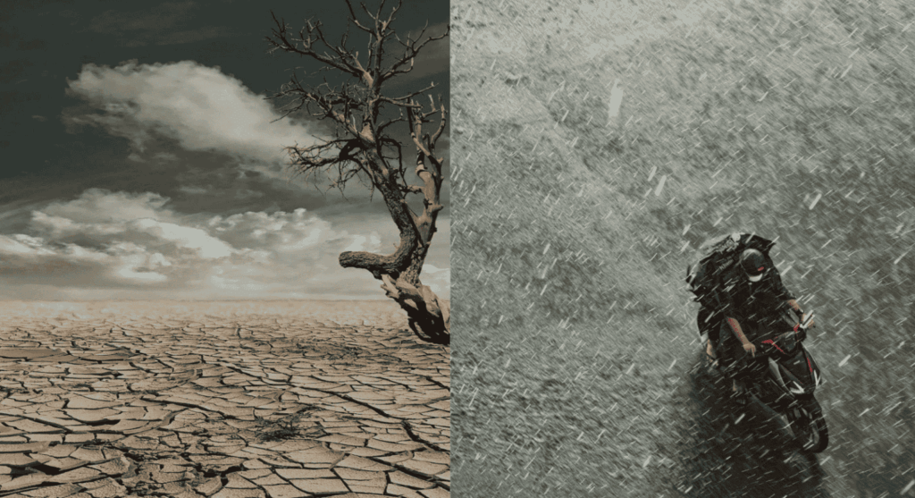 The Impact of Climate Change on Pest Surges in Singapore