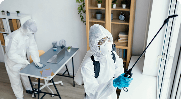 Commercial pest control services for offices and businesses in Singapore